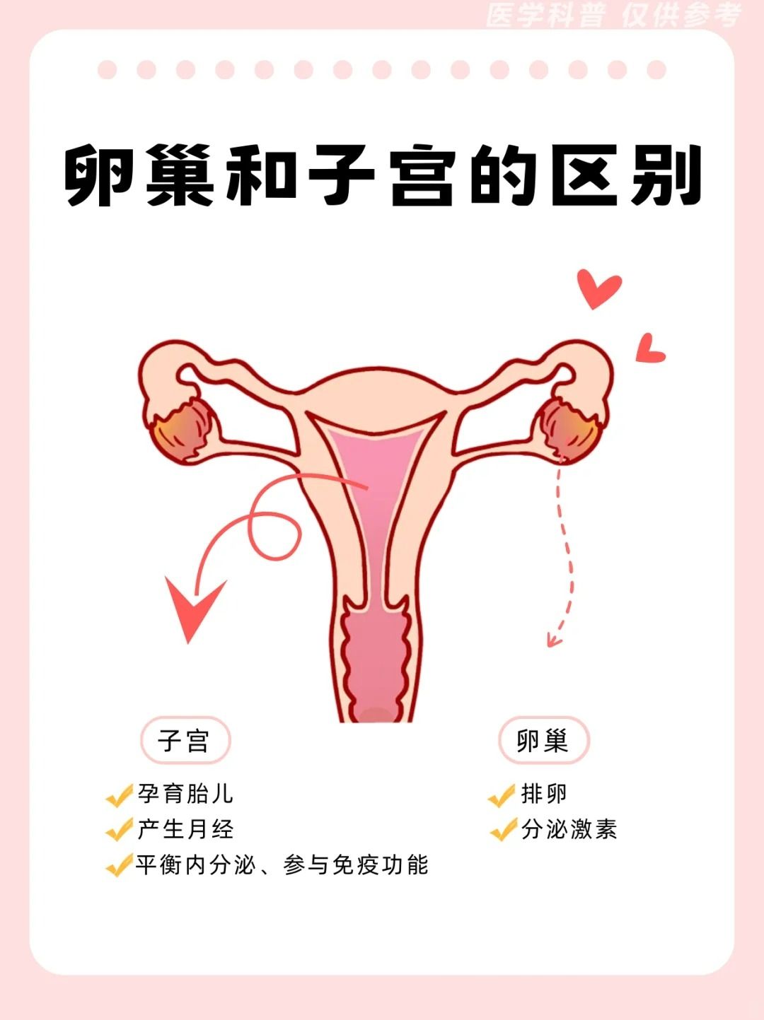 麻花豆三产区和精产区的区别