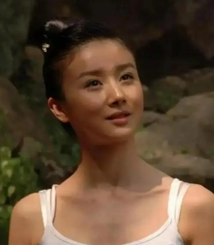 孙菲菲退出娱乐圈原因_孙菲菲古装第一美女经历_2016古装女明星