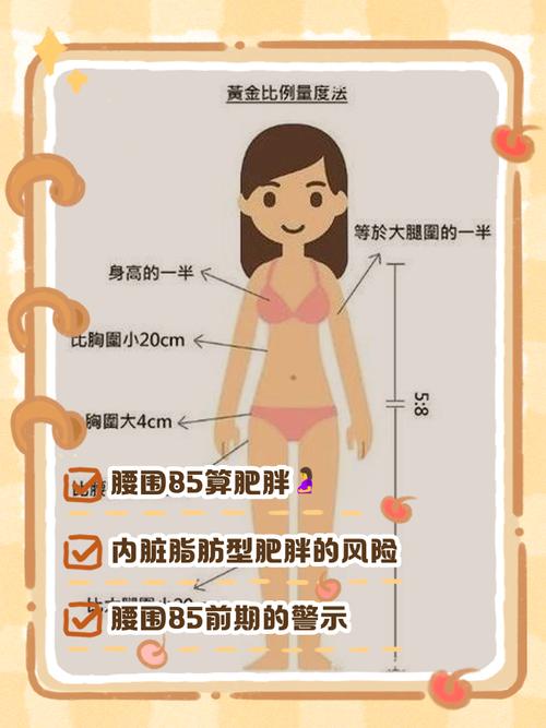 腰围女明星多少_娱乐圈最火的女明星腰围_女明星腰围排名