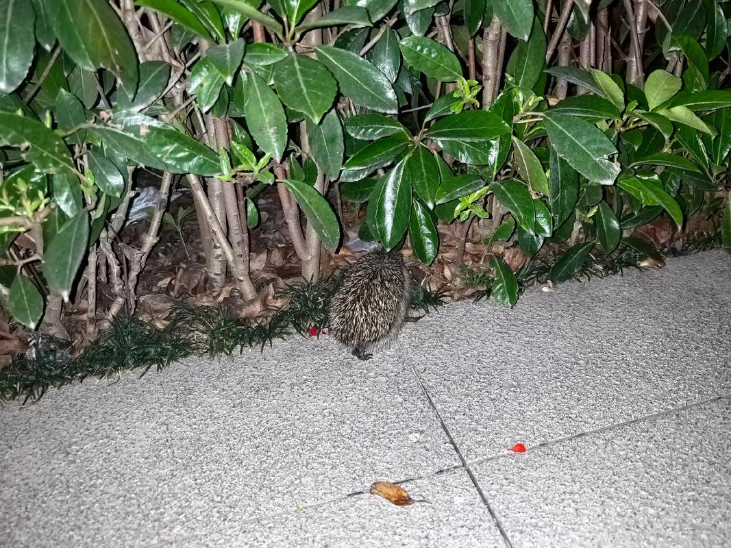 预言娱乐圈_娱乐圈预言小说_预言大师预言娱乐圈